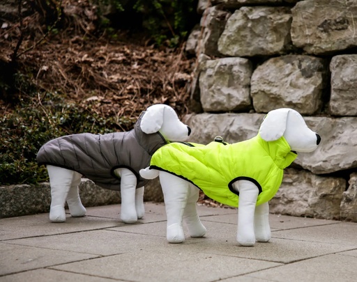 Hunde - Steppmantel Charmonix